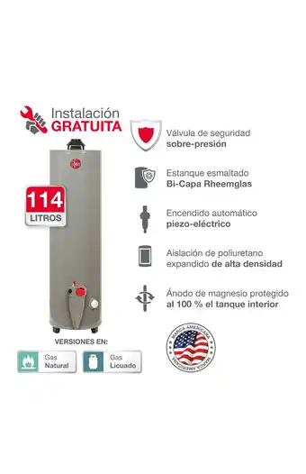 Tiendas EFE Termotanque tipo a 114l gn rheem oferta