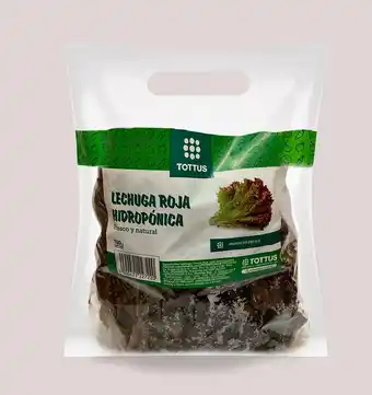Tottus Lechuga crespa roja hidroponica oferta