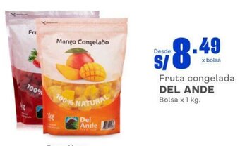 Makro Fruta congelada DEL ANDE Bolsa x 1 kg. oferta
