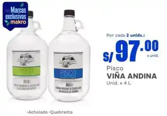 Makro Pisco VIÑA ANDINA Unid x 4L oferta