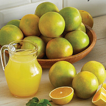 Plaza Vea Naranja para jugo x kg oferta