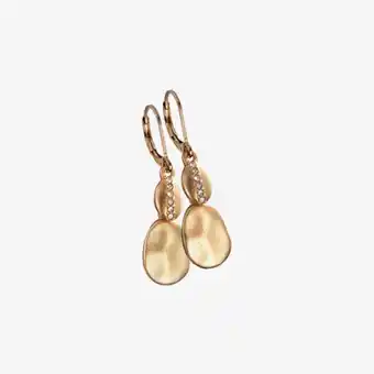 Yanbal Aretes coya oferta