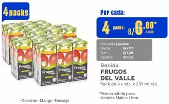 Makro Bebida FRUGOS DEL VALLE Pack de 6 unds. x 235 ml c/u oferta