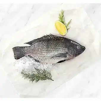 Tottus Tilapia azul eviscerada grande oferta