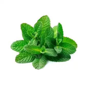 Tottus Menta tottus oferta