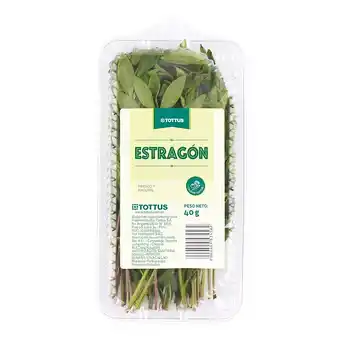 Tottus Estragon tottus oferta