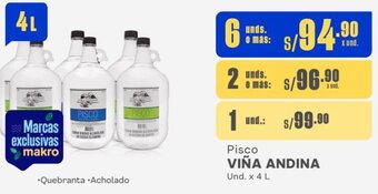 Makro Pisco VIÑA ANDINA Und. x 4 L oferta
