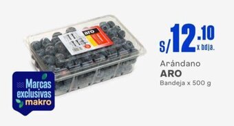 Makro Arándano ARO Bandeja x 500 g oferta