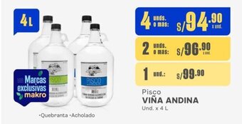 Makro Pisco VIÑA ANDINA Und. x 4 L oferta