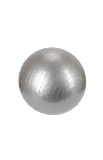 Tiendas EFE Yoga stability balls 75cm - gris oferta