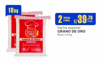 Makro Harina especial GRANO DE ORO Bolsa x 10 kg x 2 bolsas oferta