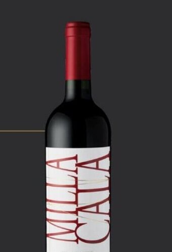 Wong VINO MILLA CALA BOT. X 750 ML oferta