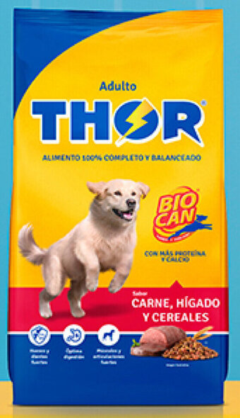 Plaza Vea THOR Alimento para perros sabores variados bl x 25 kg oferta