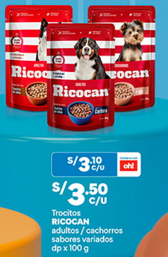 Plaza Vea RICOCAN Trocitos adultos/cachorros sabores variados dp x 100 g oferta