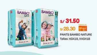 Wong PANTS BAMBO NATURE Tallas: XG X 19, XXG X 18 UDS. oferta