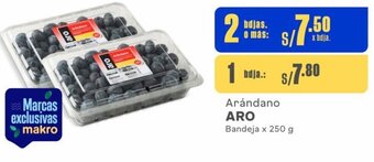 Makro ARO Arándano Bandeja x 250 g oferta