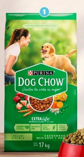 Wong DOG CHOW CACHORRO M/G X 17 KG oferta