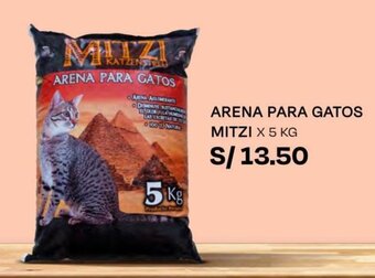Wong ARENA PARA GATOS MITZI X 5 KG oferta