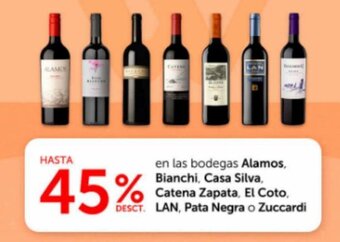 Wong en las bodegas Alamos, Bianchi, Casa Silva, Catena Zapata, El Coto, LAN, Pata Negra o Zuccardi oferta