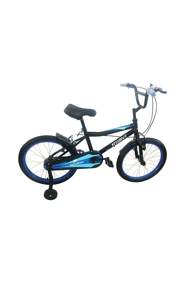 Schwinn amplify online 18