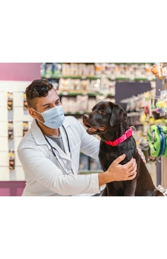 Tiendas EFE Asistencia mascotas 12 meses oferta
