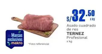 Makro Asado cuadrado de res TERNEZ Profesional x kg oferta
