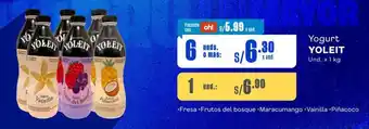 Makro Yogurt YOLEIT Und. x 1 kg oferta