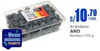 Makro Arándano ARO Bandeja x 500 g oferta