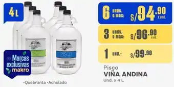 Makro Pisco VIÑA ANDINA Und. x 4 L x 6 unds oferta