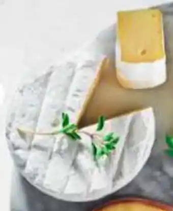 Wong QUESO BRIE PRESIDENT X 100 G oferta