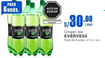 Makro Ginger ale EVERVESS Pack de 6 unds. x 1.5 L c/u oferta