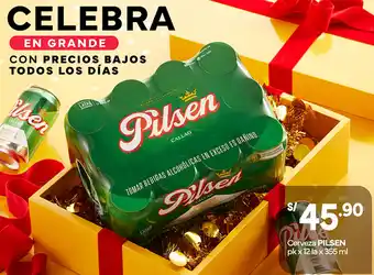 Plaza Vea Cerveza PILSEN pk x 12 lax 355 ml oferta
