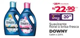 Vega Suavizante floral o brisa fresca DOWNY Galón x 2.8 It. oferta