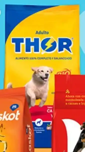 Plaza Vea Alimento para perros THOR adulto sabores variados bl x 25 kg oferta
