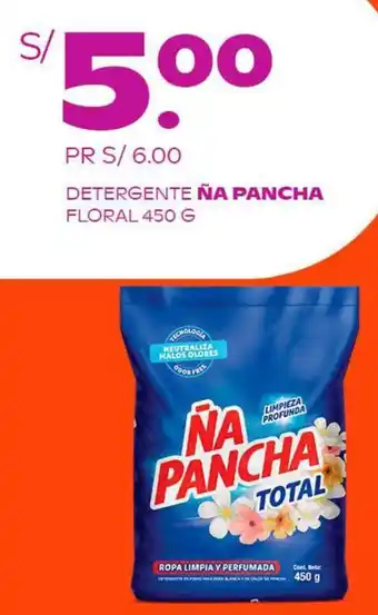 Tambo DETERGENTE NA PANCHA FLORAL 450G oferta