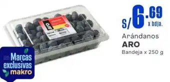 Makro Arándanos ARO Bandeja x 250g oferta