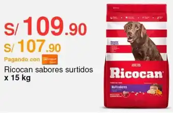 Metro Ricocan sabores surtidos x 15 kg oferta