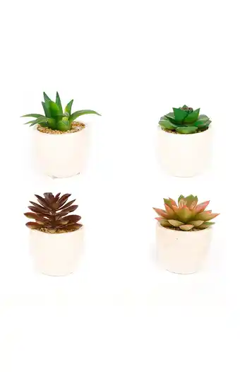 Tiendas EFE Cáctus artificial 9cm oferta
