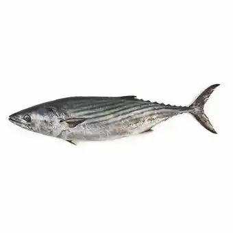 Tottus Bonito fresco oferta