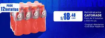 Makro Rehidratante GATORADE Pack de 12 botellas x 500ml oferta
