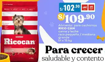 Plaza Vea Alimento para cachorros RICO CAN carne y leche raza pequeña / mediana grande bl x 15kg oferta