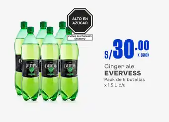 Plaza Vea Ginger ale EVERVESS Pack de 6 botellas x 1.5 L c/u oferta