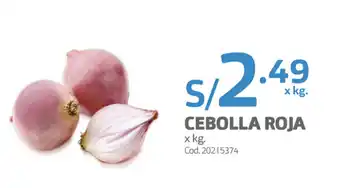 Makro Cebolla Roja oferta