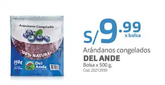 Makro Arándanos Congelados Del Ande 500g oferta