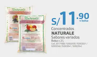 Makro Concentrados Naturale Sabores Variados 2L oferta