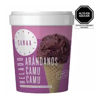 Tottus Helado de arandanos y camu camu oferta