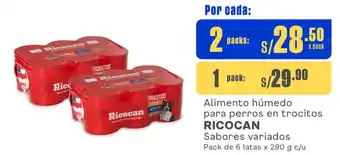 Plaza Vea Alimento húmedo para perros en trocitos RICOCAN Sabores variados Pack de 6 latas x 290 g c/u oferta