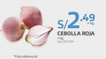 Makro Cebolla roja x kg. oferta
