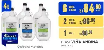 Makro Pisco VIÑA ANDINA 6 Und x 4L oferta