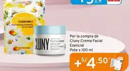 Mifarma Por la compra de Cluny Crema Facial Esencial Pote x 100 ml oferta